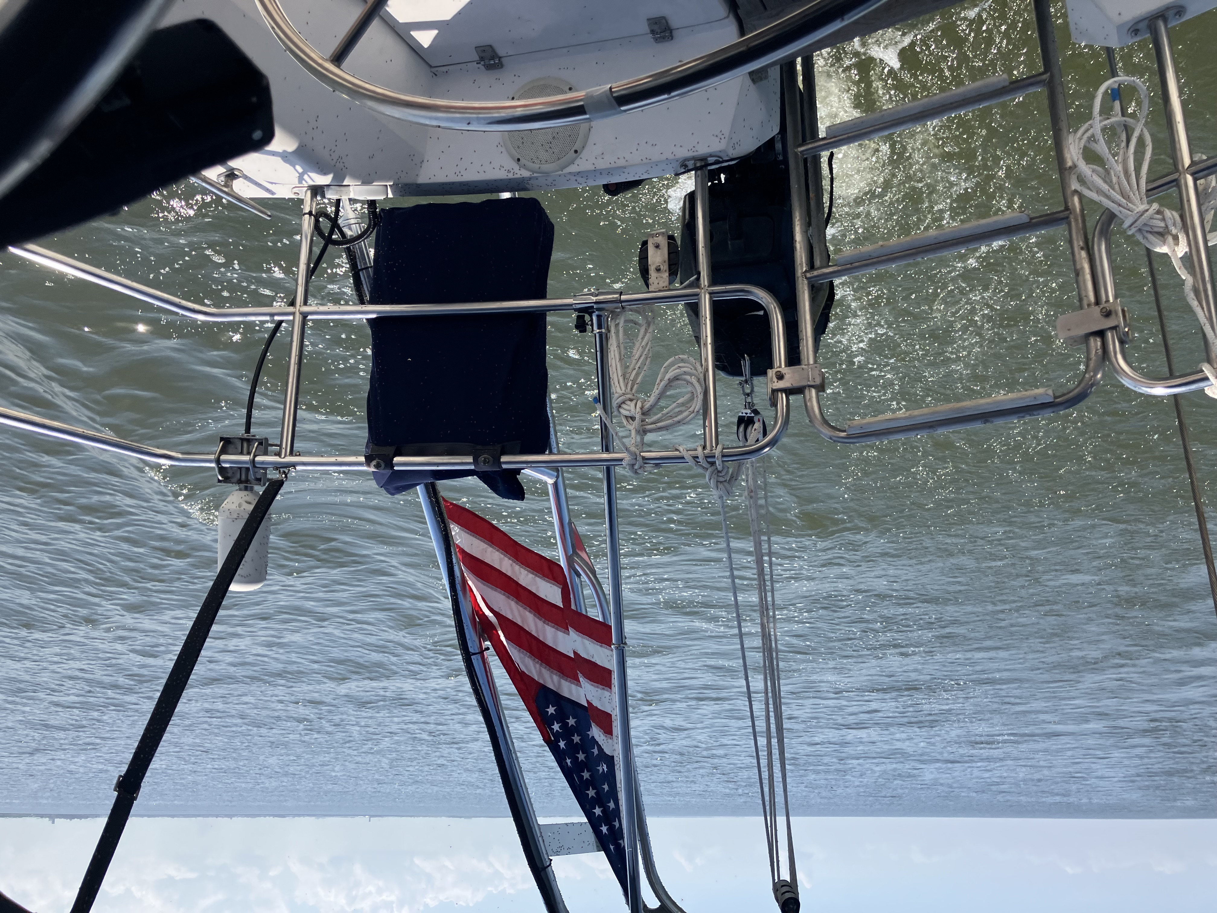 Bugs on Flag